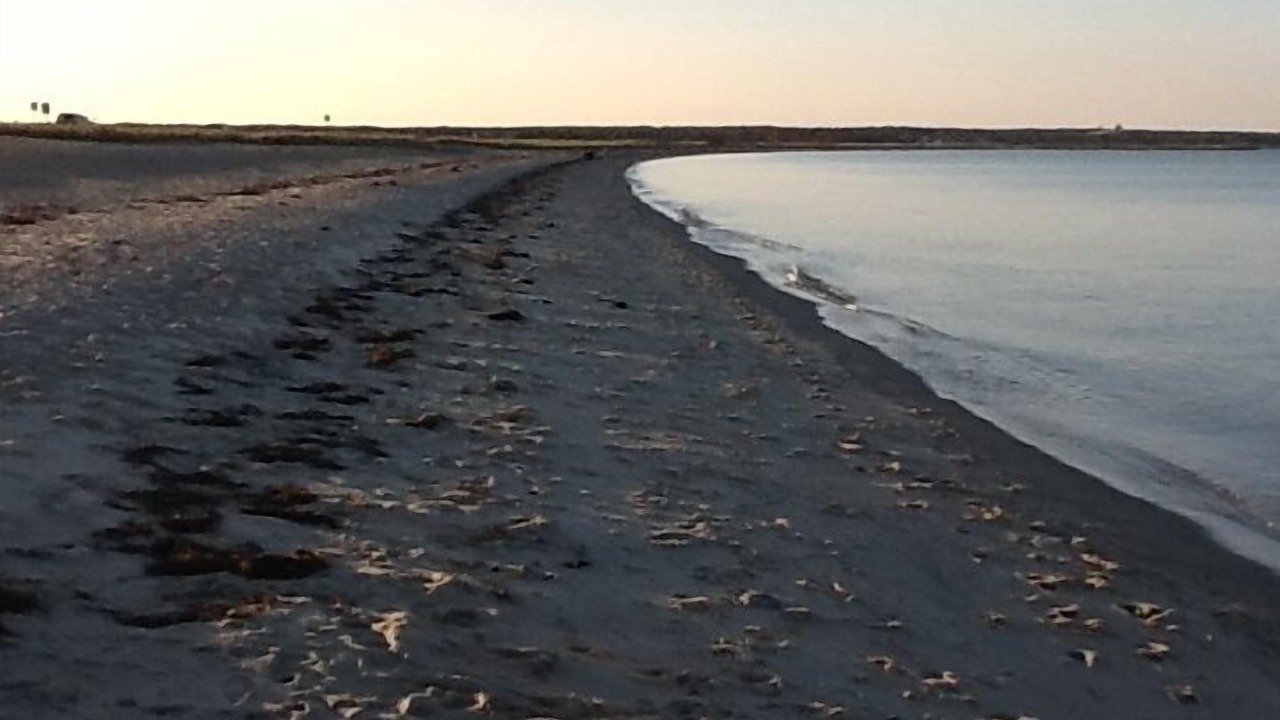 Photo of Others in Edgartown