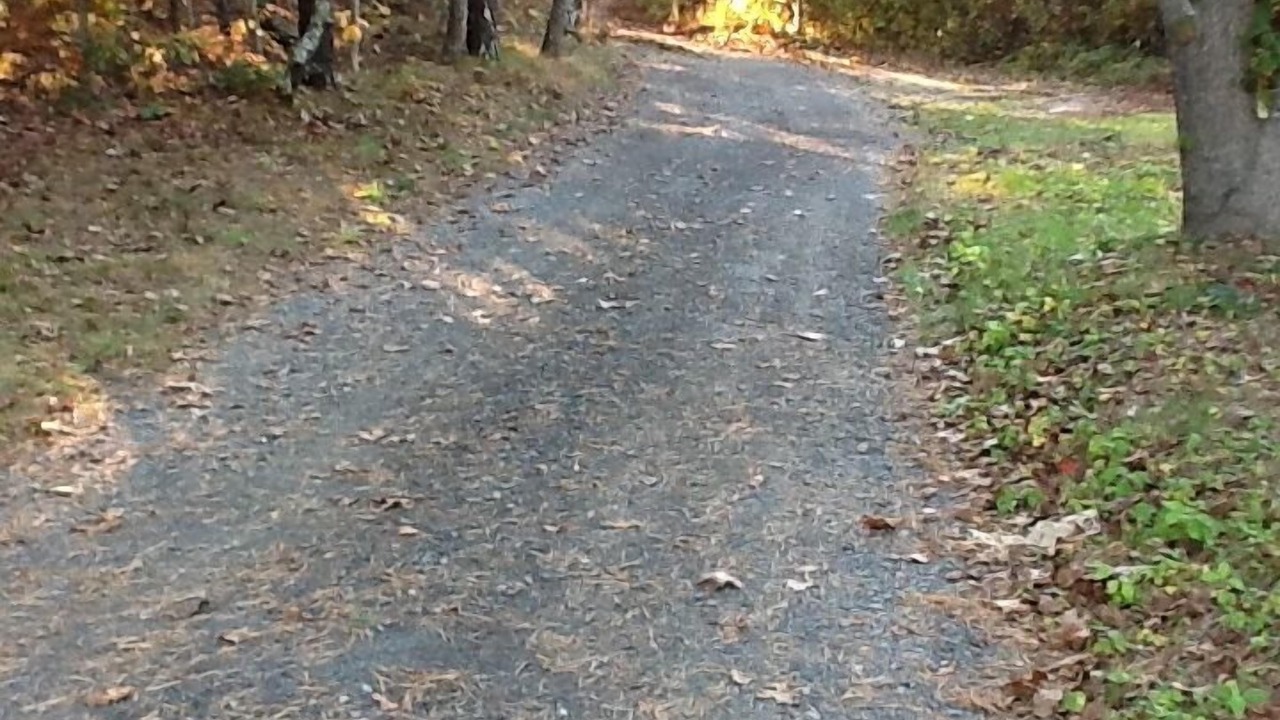 Photo of Outdoor in Edgartown