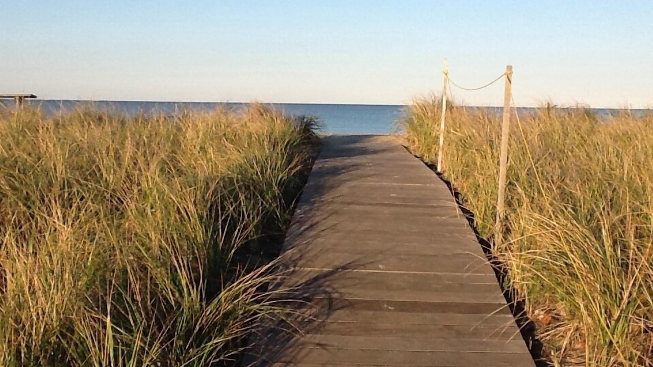 Photo of Others in Edgartown