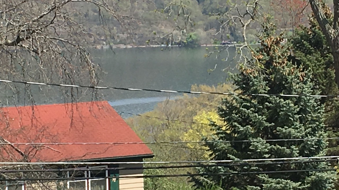 Photo of Others in Town of Reading