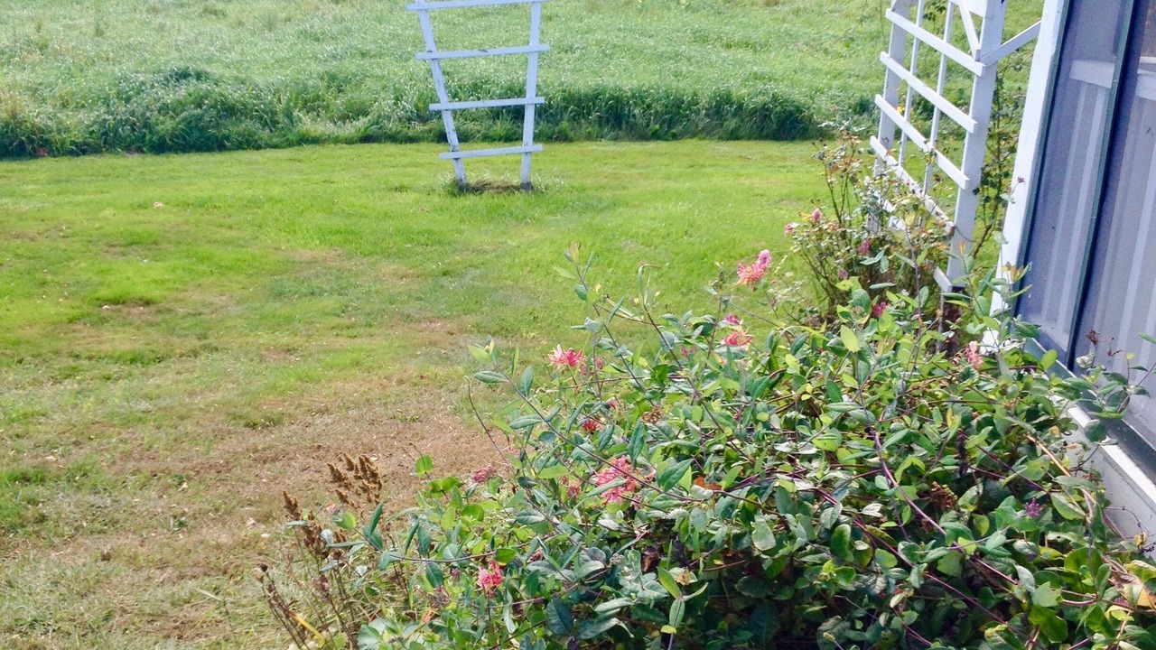 Photo of Outdoor in Lyndeborough