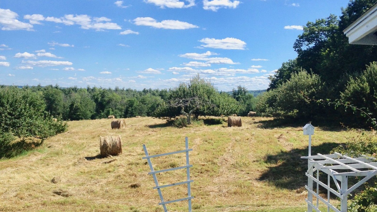 Photo of Others in Lyndeborough