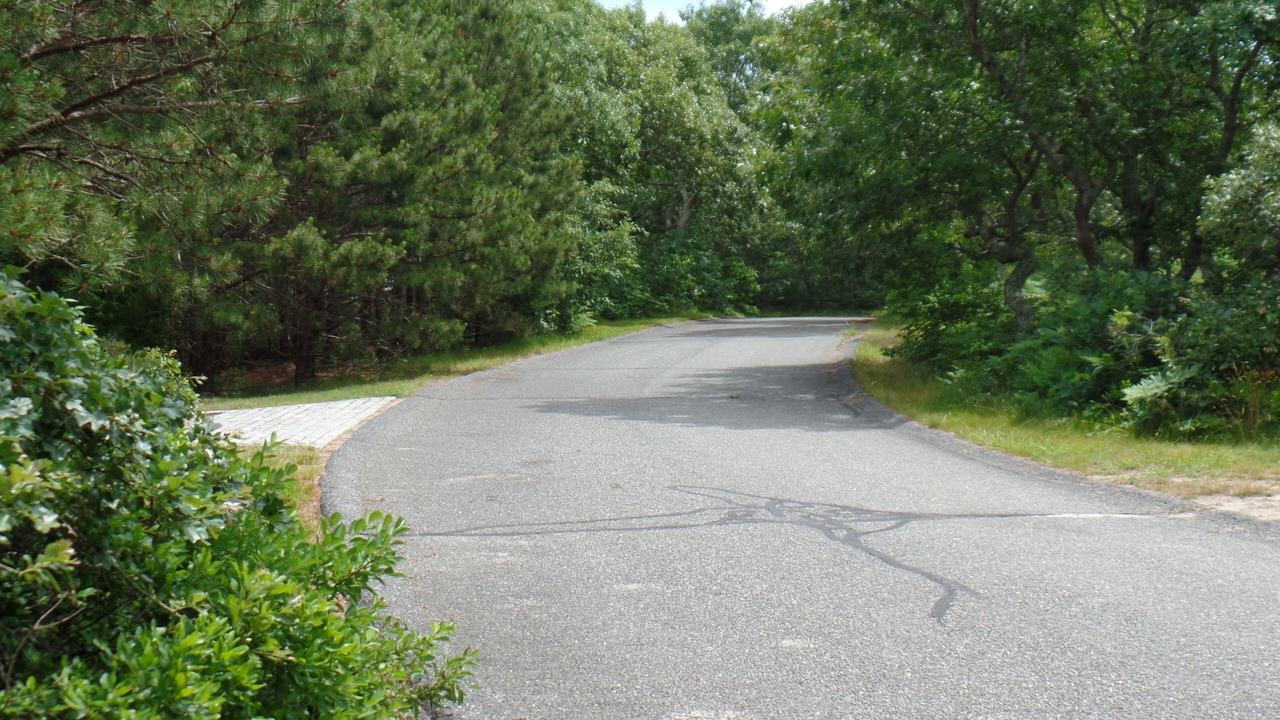 Photo of Others in Edgartown