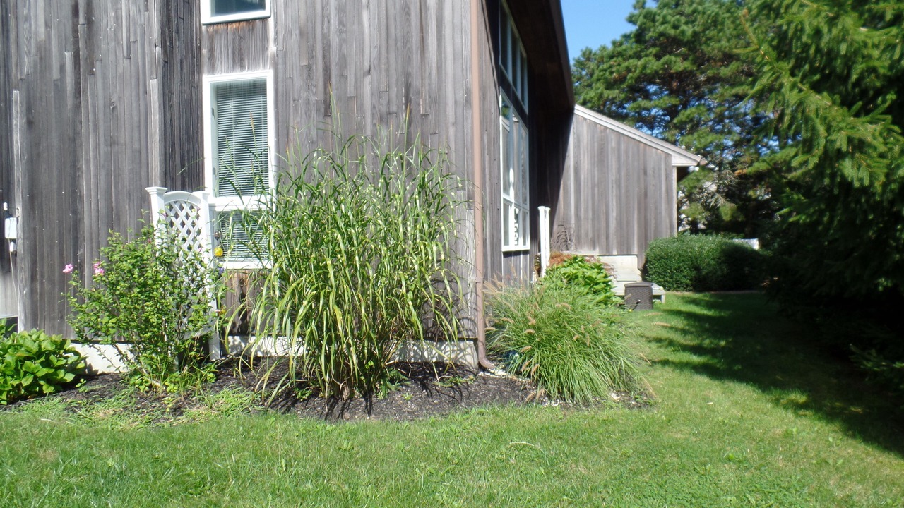 Photo of Outdoor in Edgartown