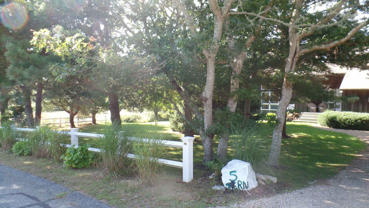 Photo of Outdoor in Edgartown