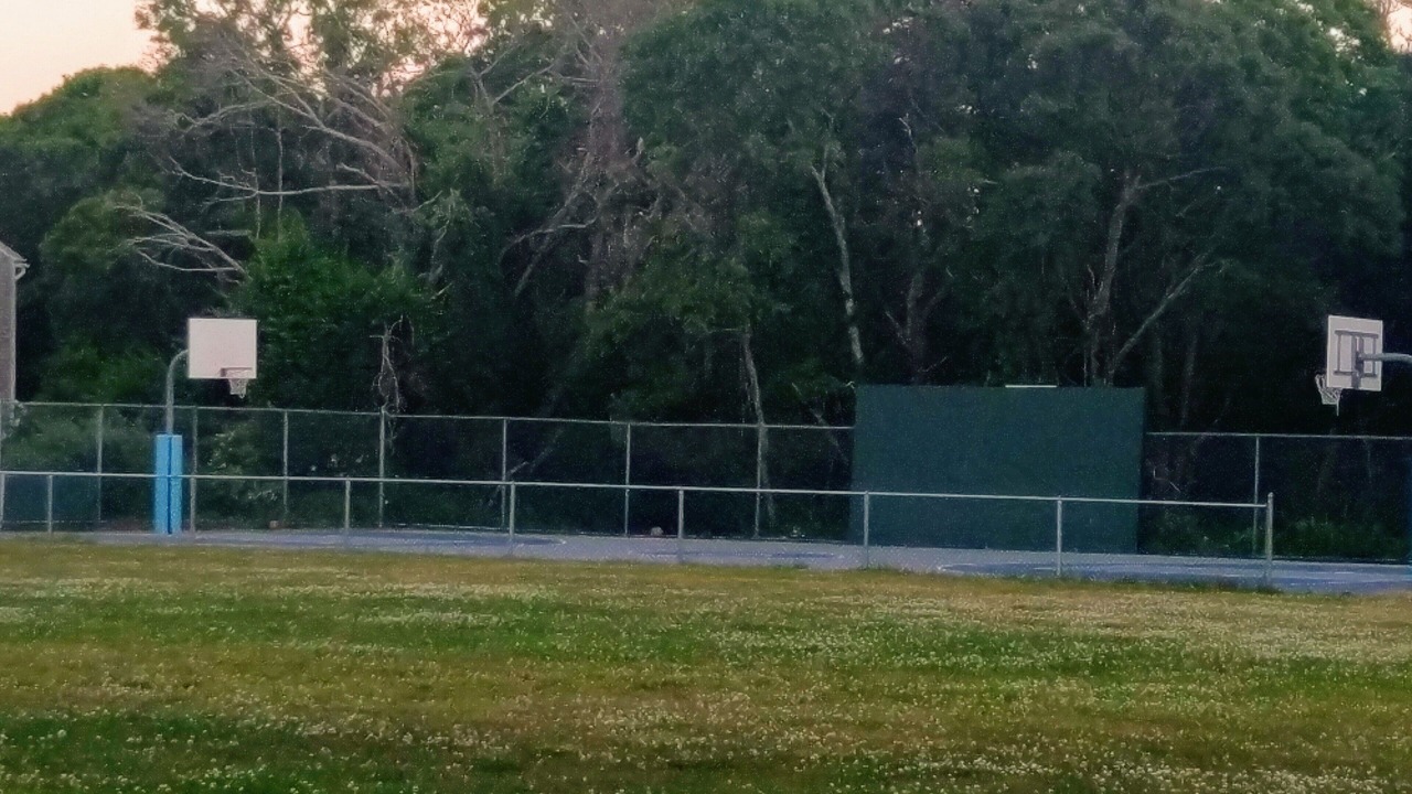 Photo of Others in Eastham