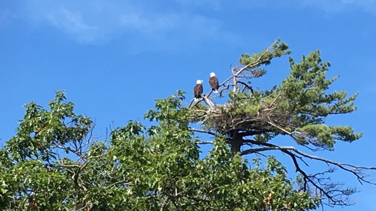 Photo of Others in Sebascodegan Island
