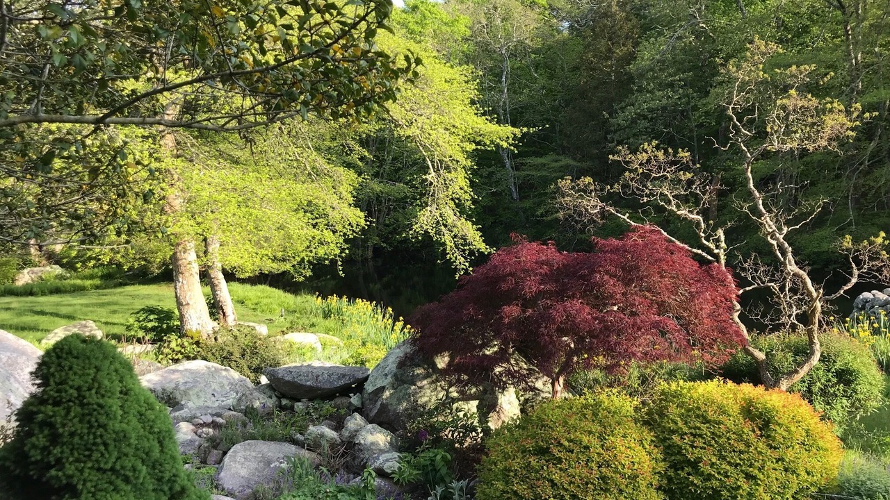 Photo of Outdoor in West Tisbury