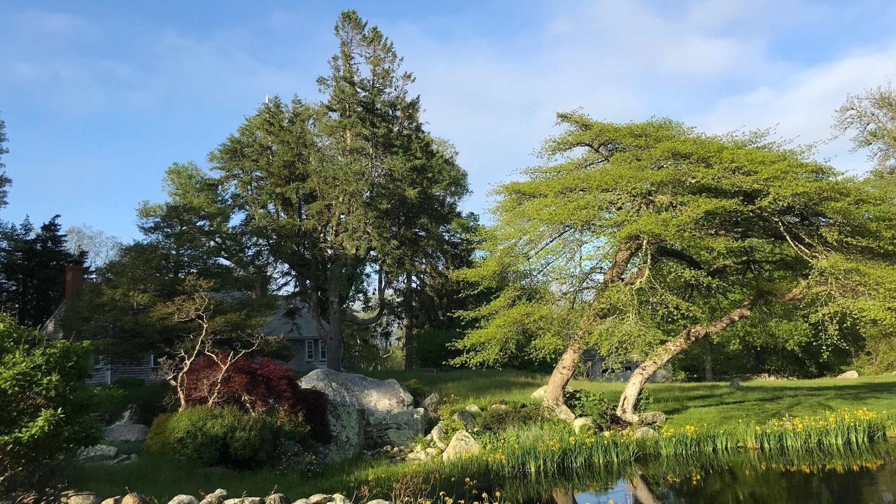 Photo of Others in West Tisbury