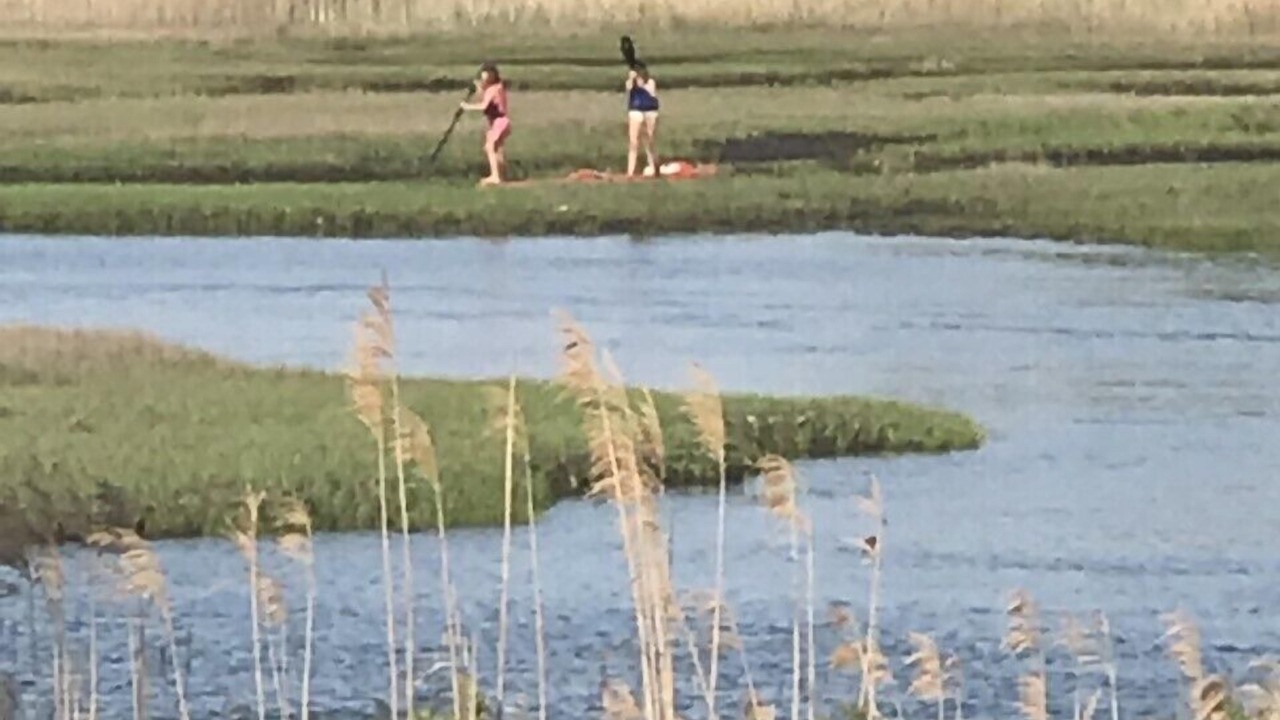 Photo of Others in South Dennis
