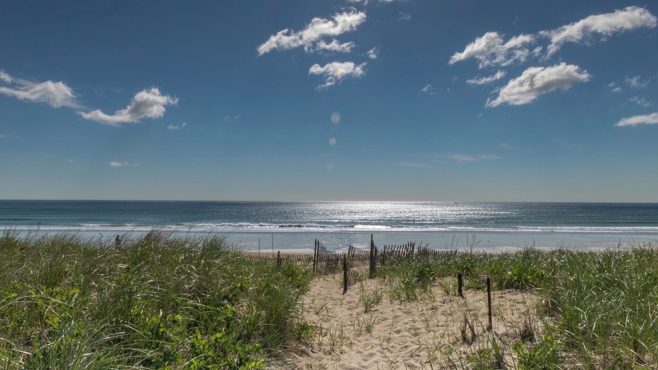 Photo of Others in Seabrook