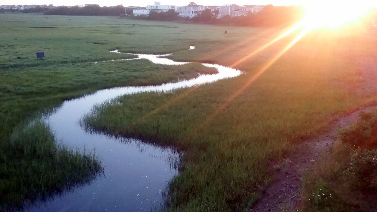 Photo of Outdoor in Seabrook