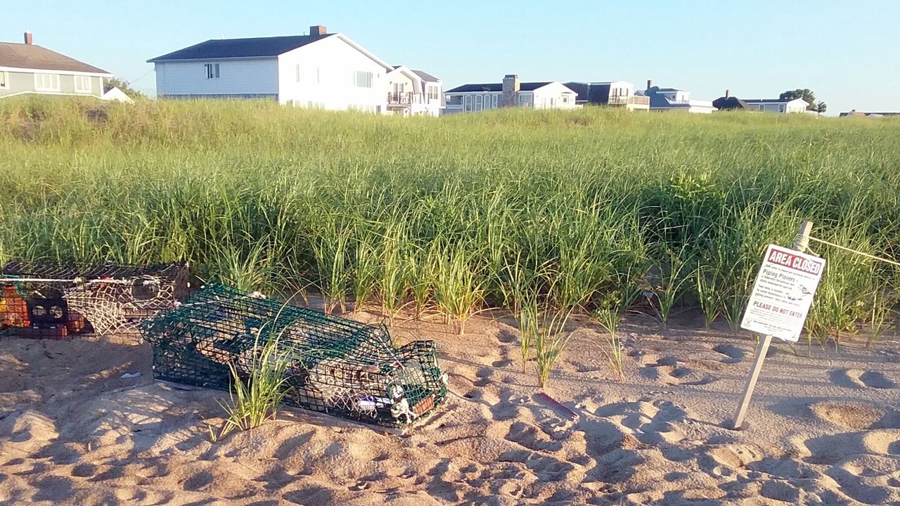 Photo of Others in Seabrook
