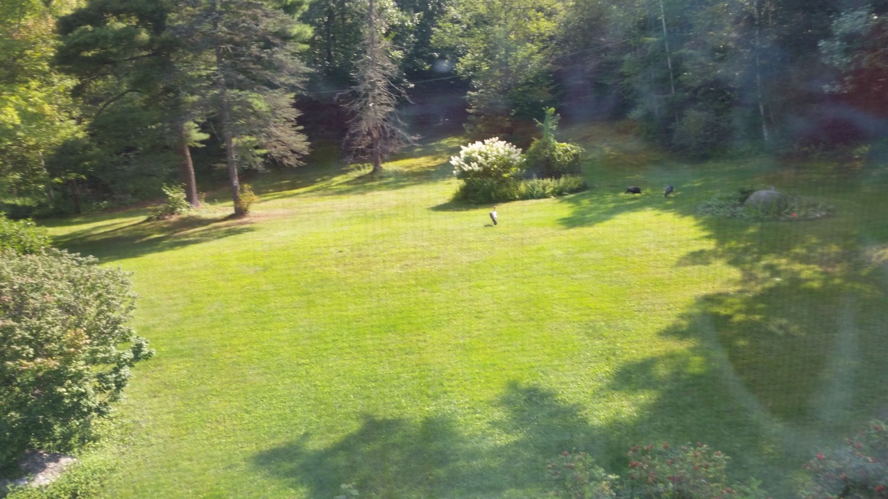 Photo of Others in Chocorua