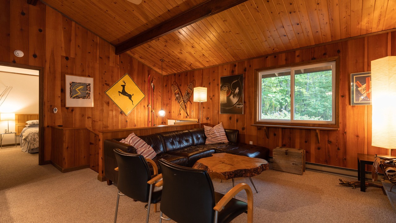 Photo of Livingroom in Hensonville