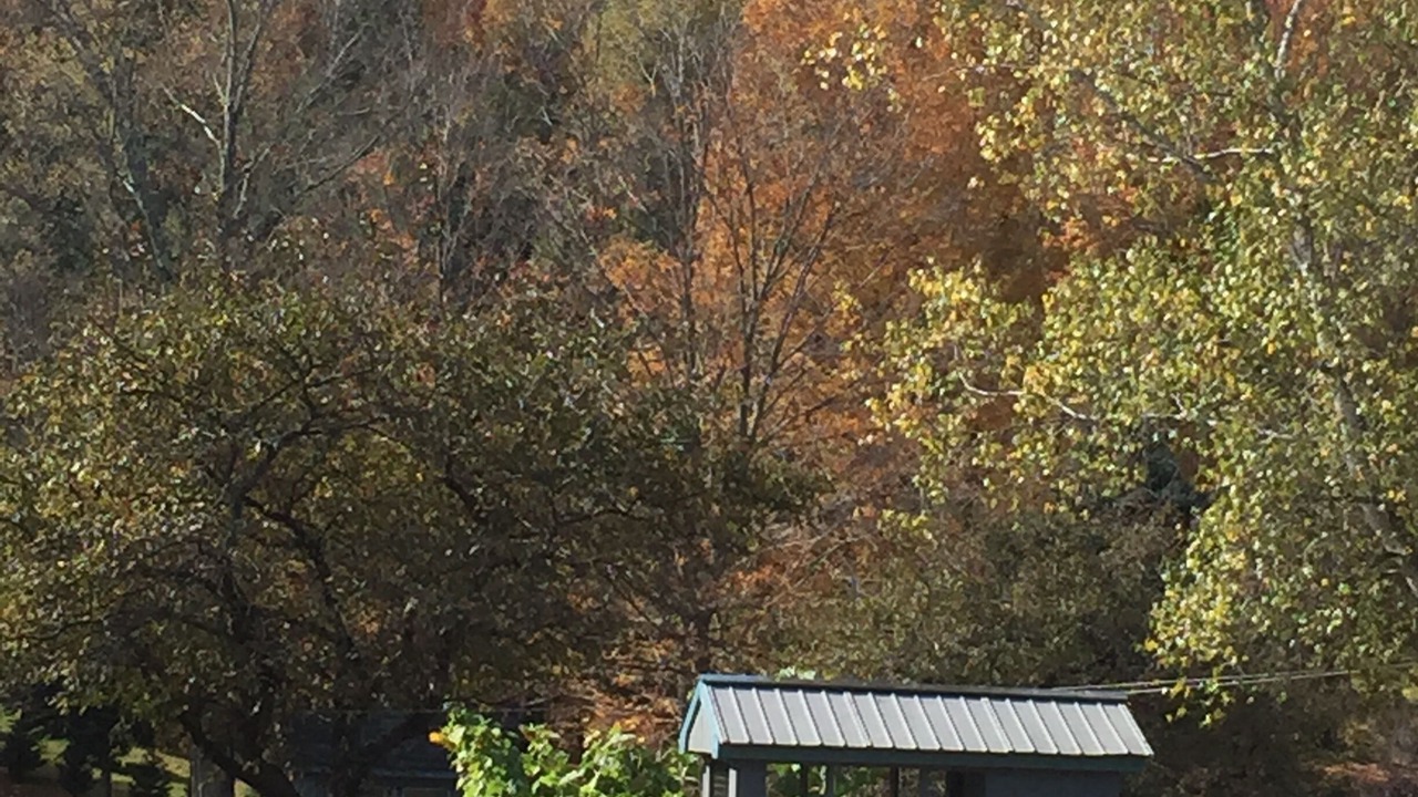 Photo of Others in North Bennington