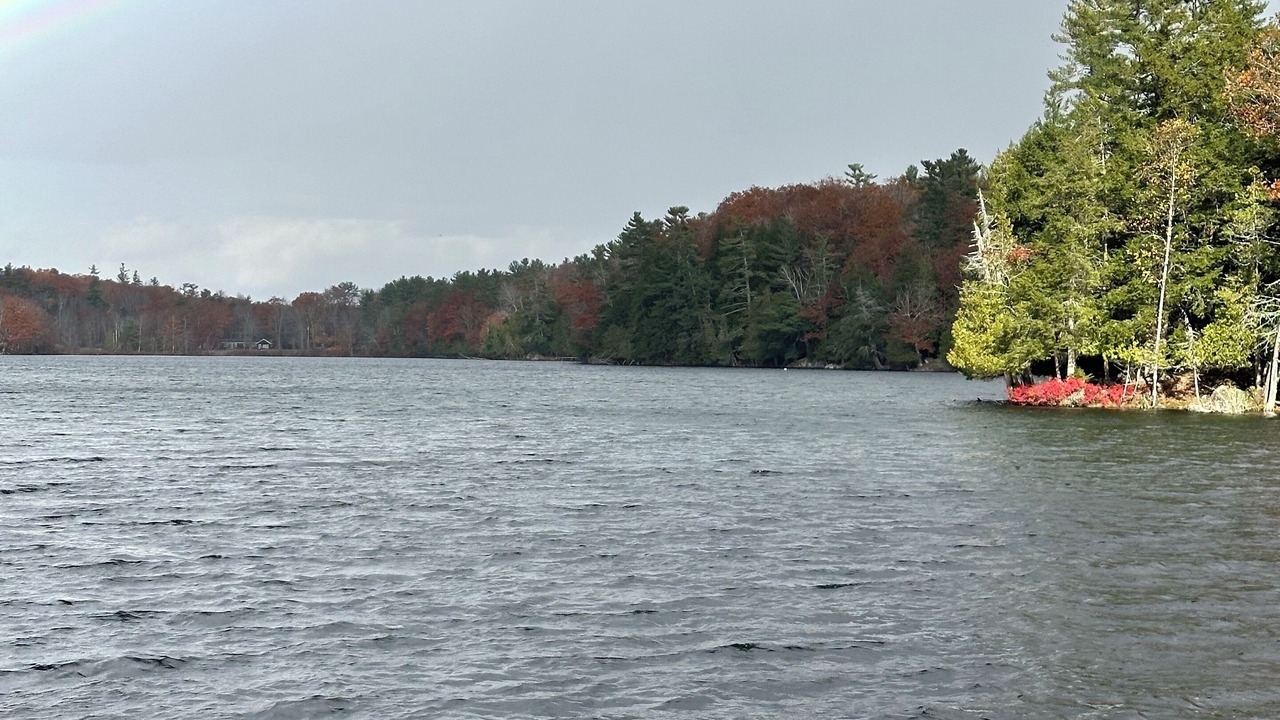 Photo of Others in Bucksport