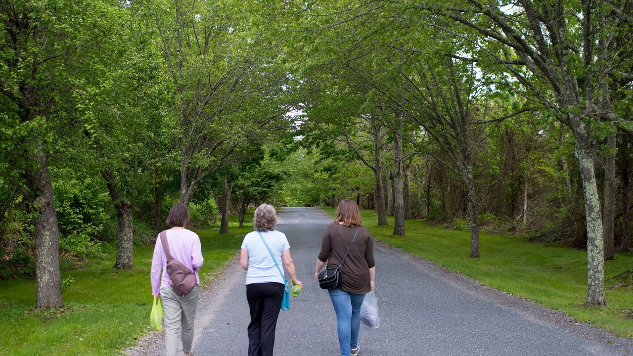 Photo of Others in Charlestown
