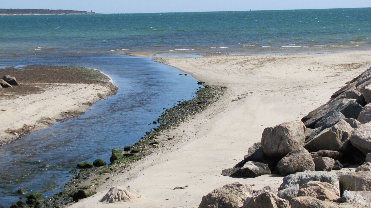 Photo of Others in Hyannis