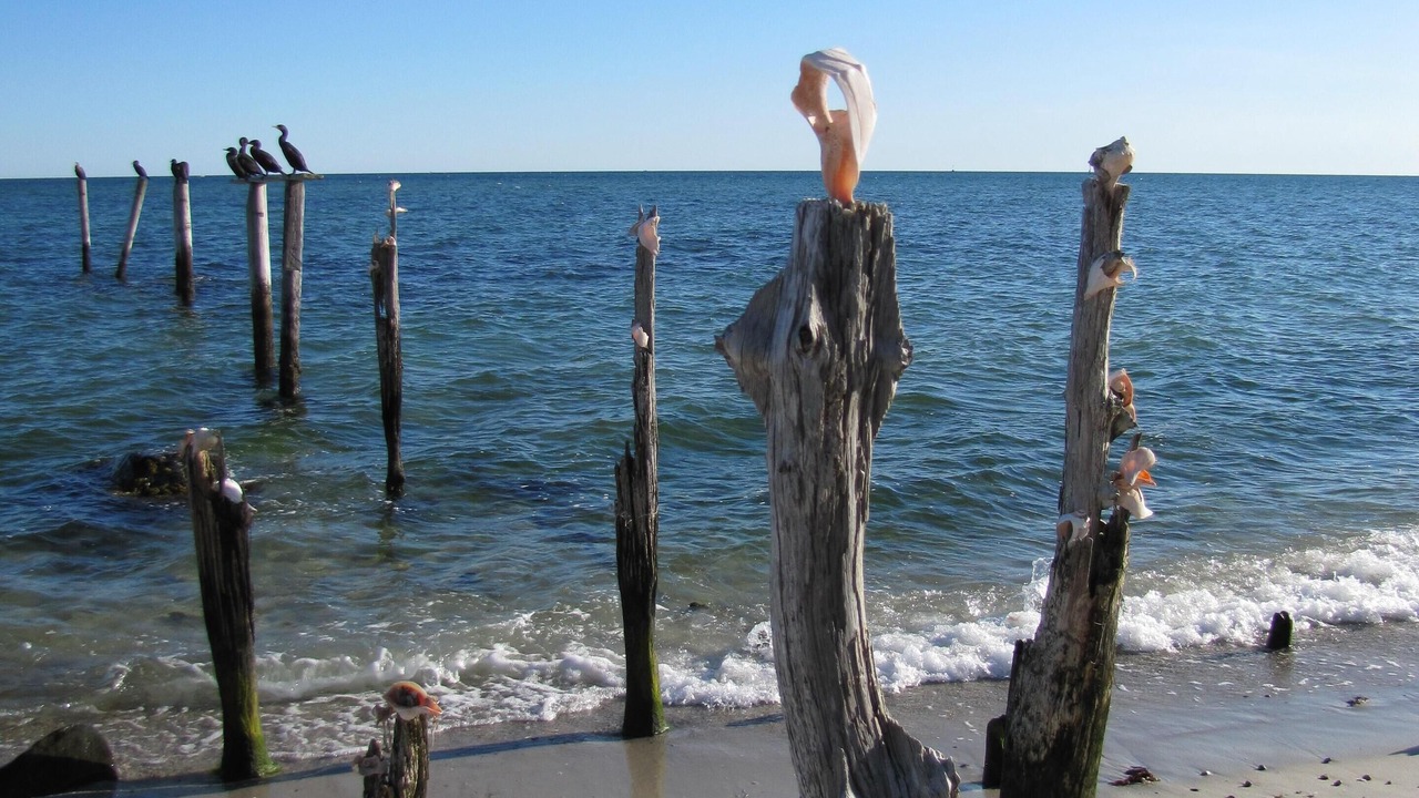 Photo of Outdoor in Hyannis
