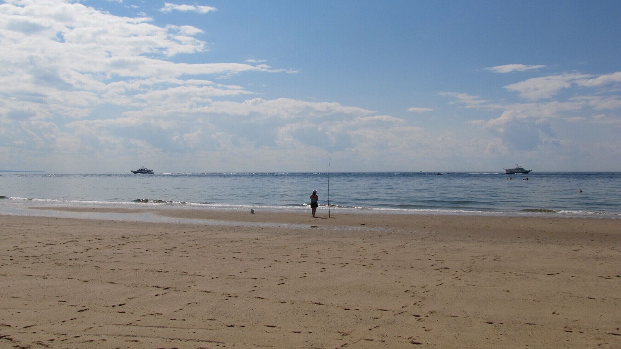 Photo of Others in Hyannis