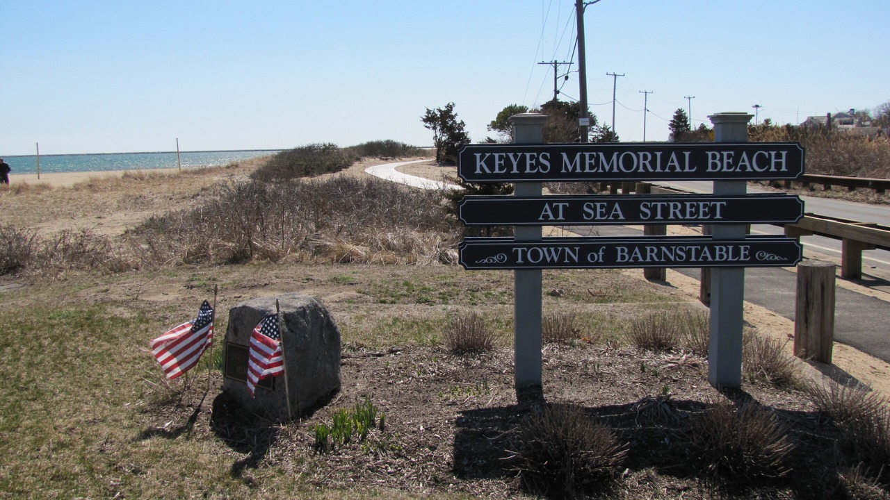 Photo of Others in Hyannis