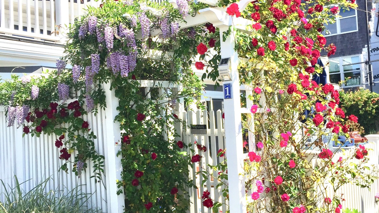 Photo of Outdoor in Provincetown
