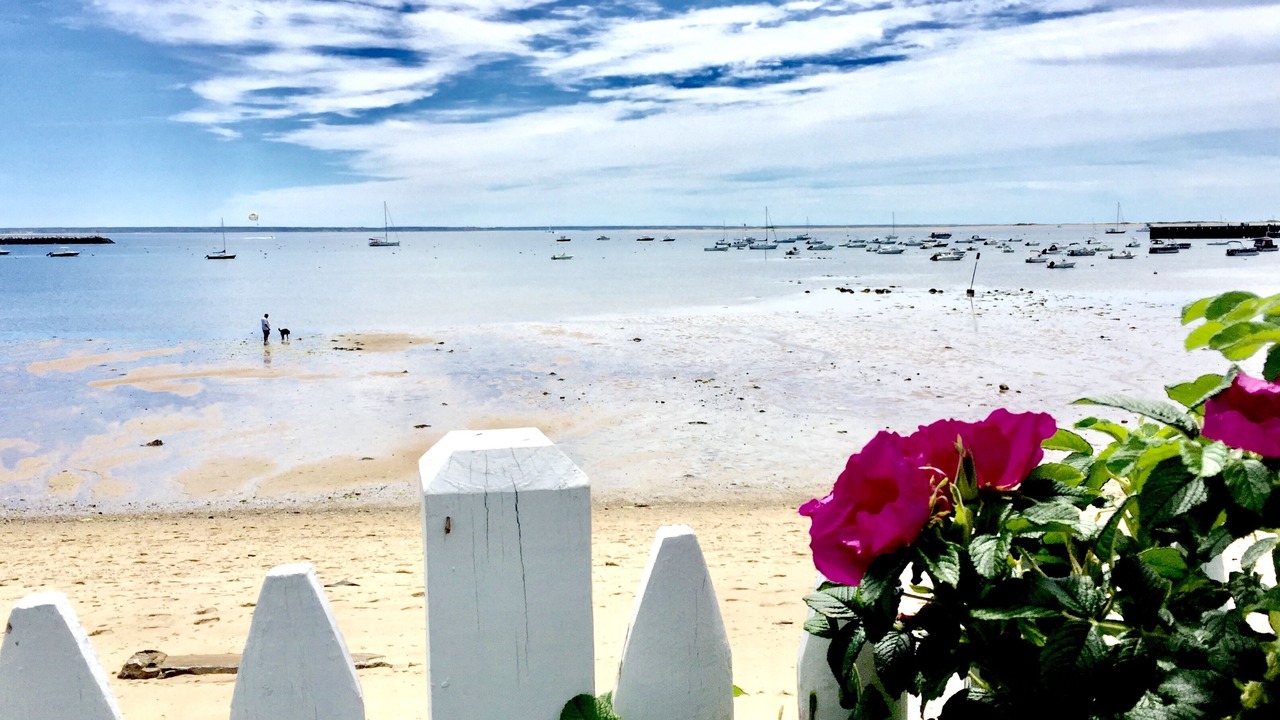 Photo of Others in Provincetown