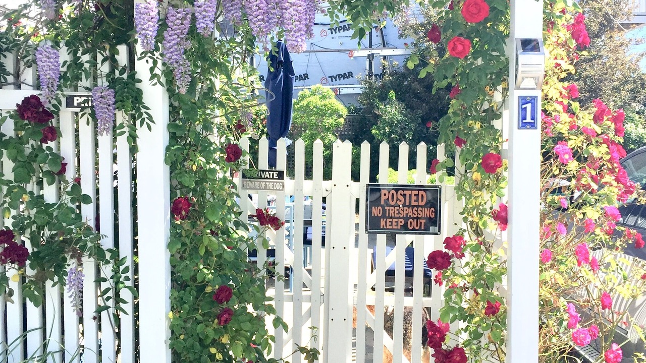 Photo of Others in Provincetown