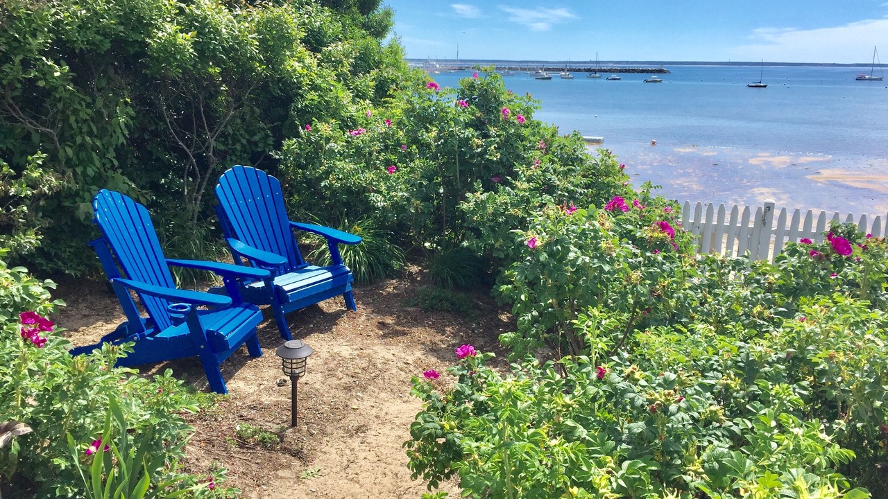 Photo of Outdoor in Provincetown