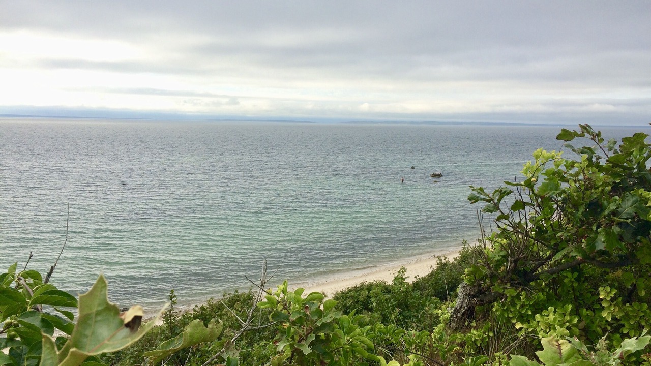 Photo of Others in Chilmark