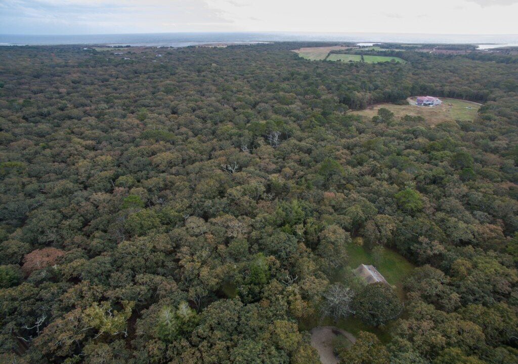 Photo of Outdoor in Chilmark
