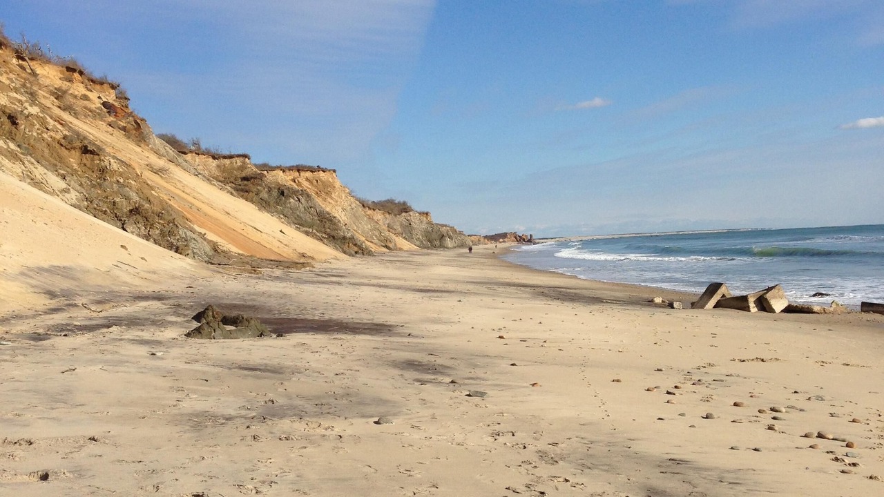 Photo of Others in Chilmark