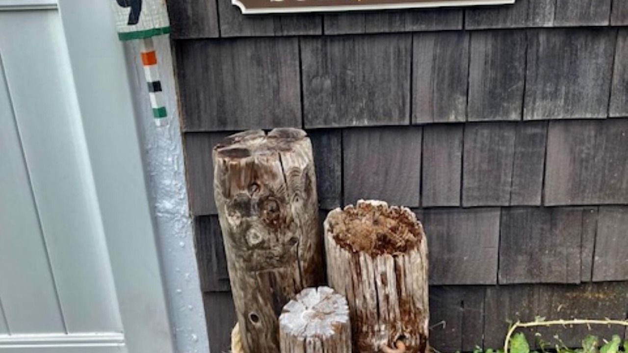 Photo of Outdoor in Westbrook
