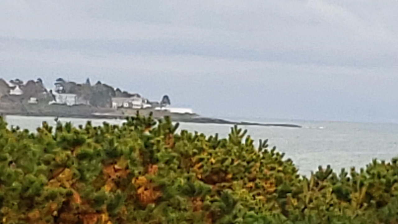 Photo of Others in Pine Point