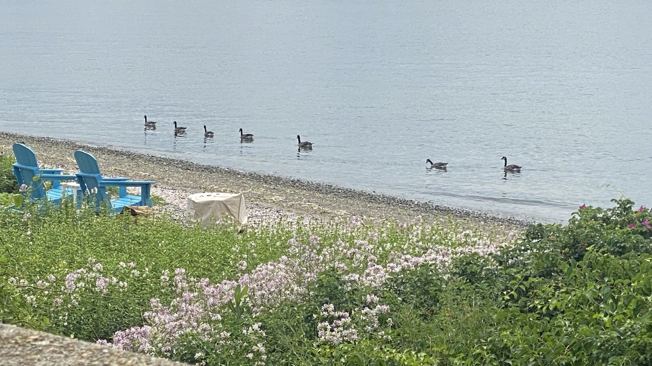 Photo of Others in Portsmouth