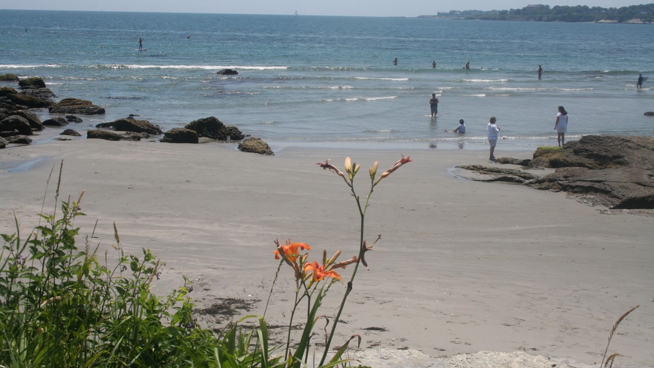 Photo of Others in Easton's Point