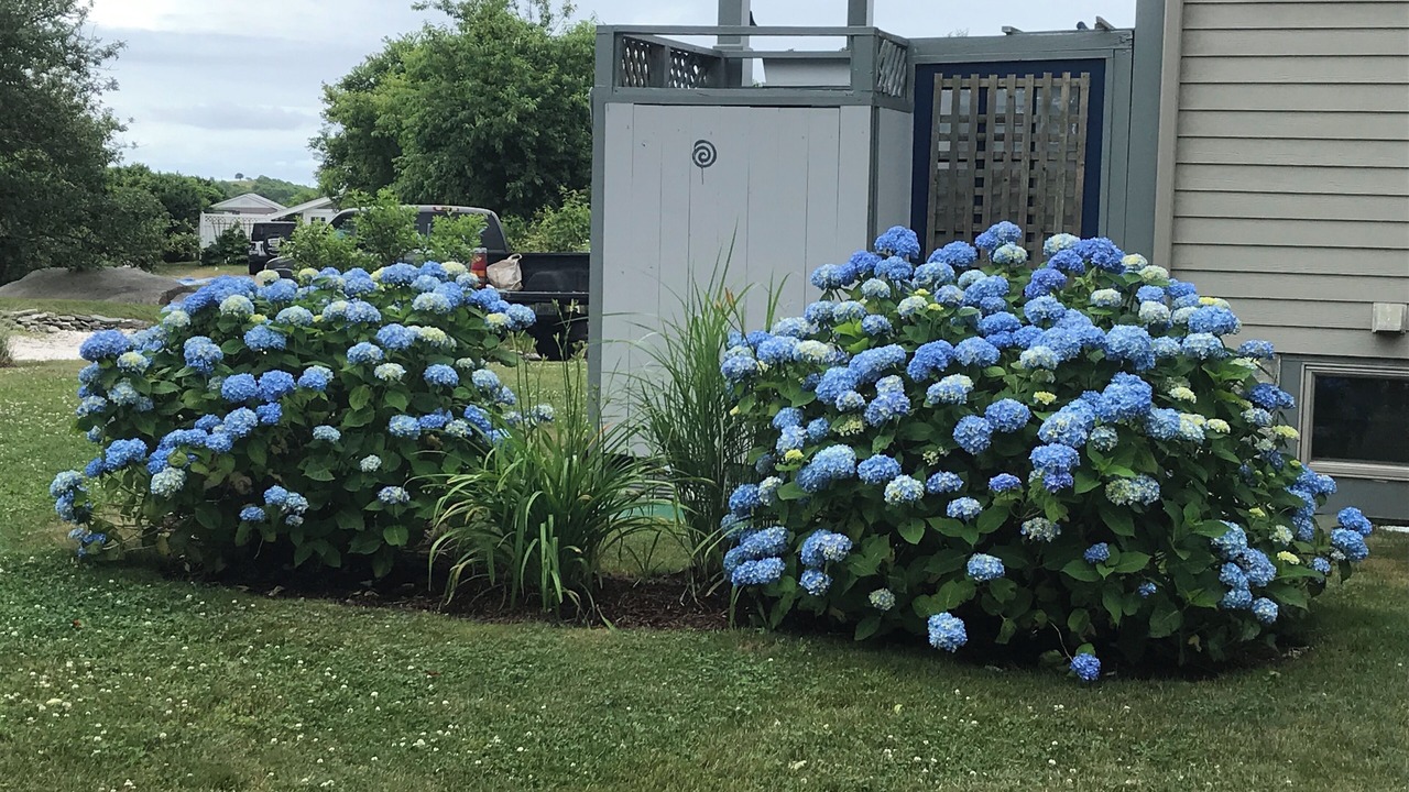 Photo of Outdoor in Block Island