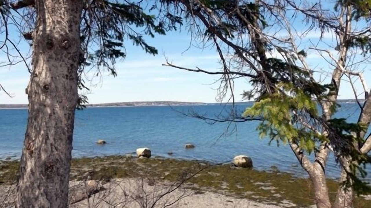 Photo of Others in Bar Harbor