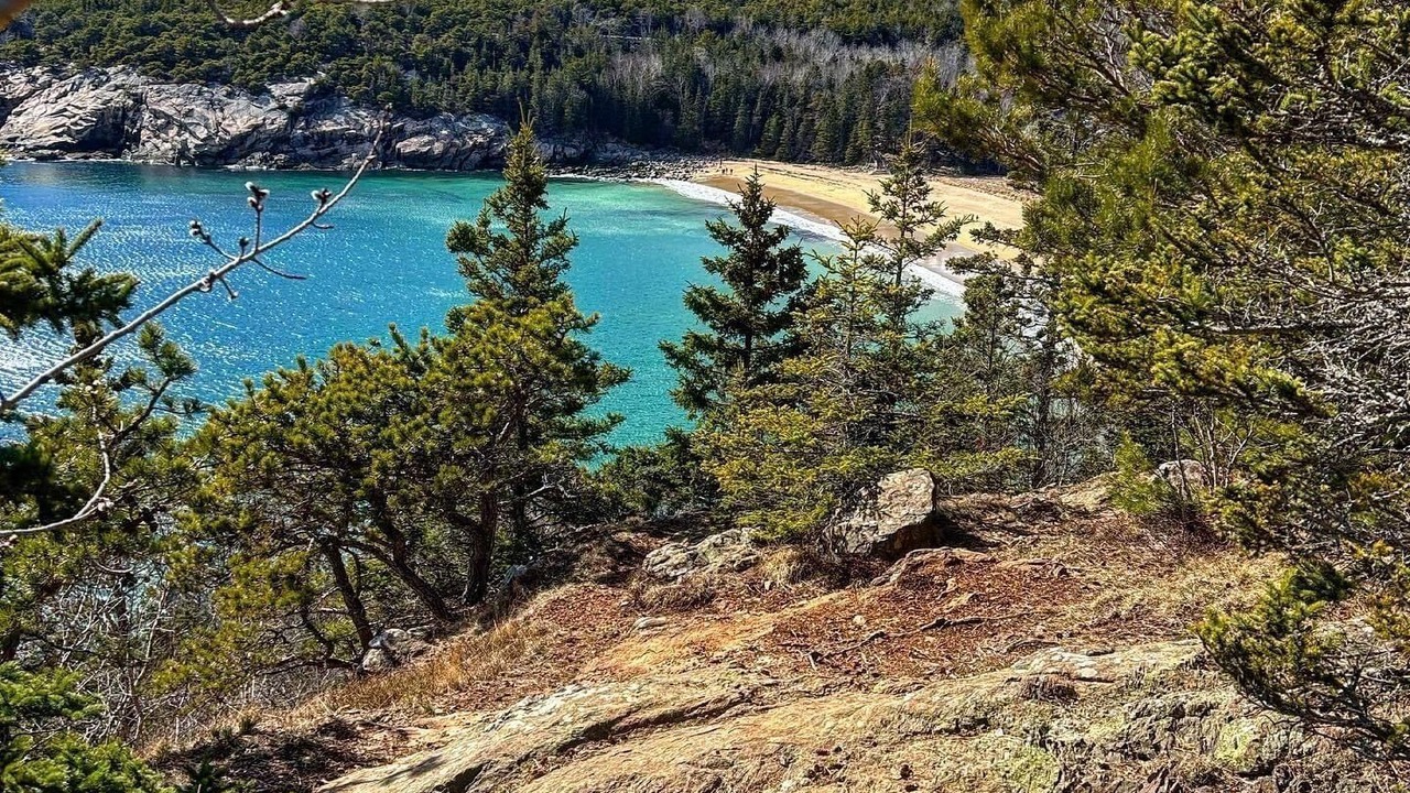Photo of Others in Bar Harbor