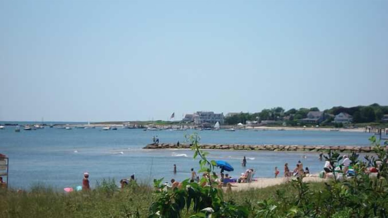 Photo of Others in Hyannis