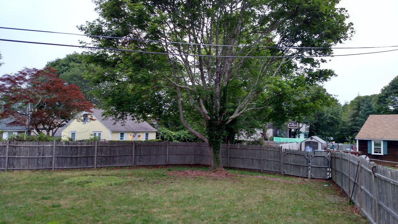 Photo of Outdoor in Hyannis