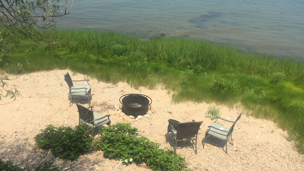 Photo of Others in Tisbury