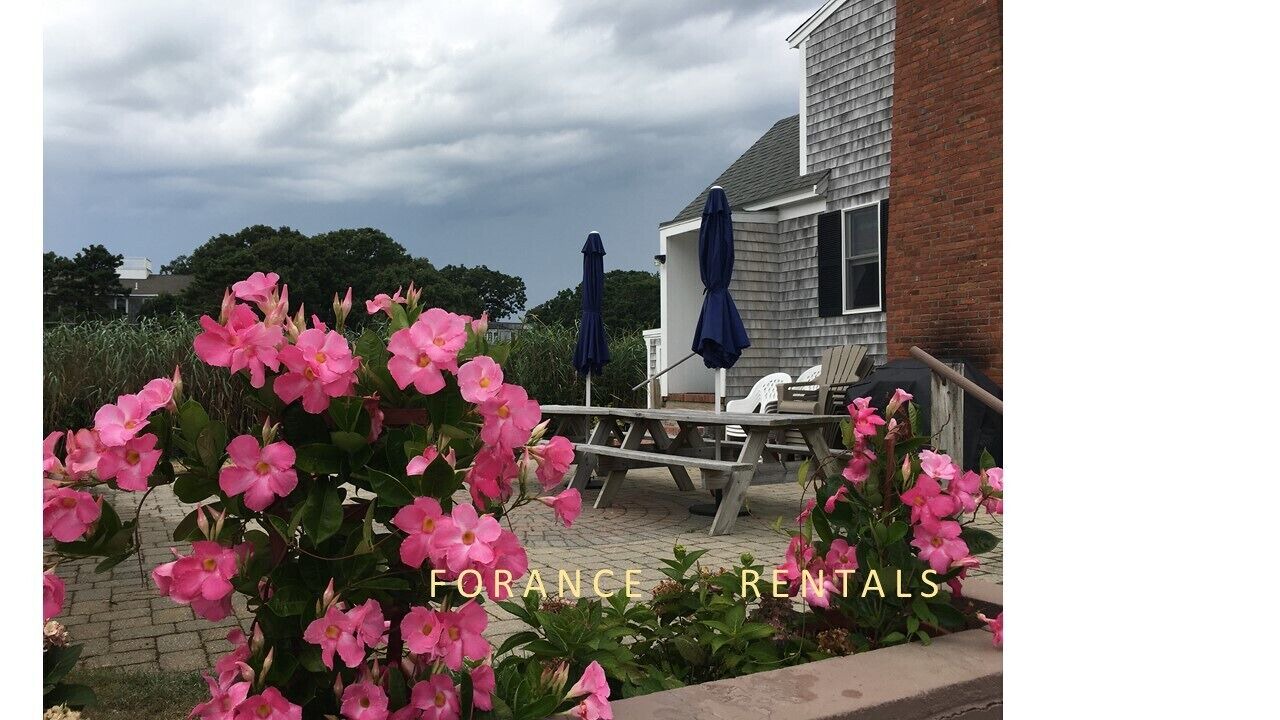 Photo of Others in Hyannis