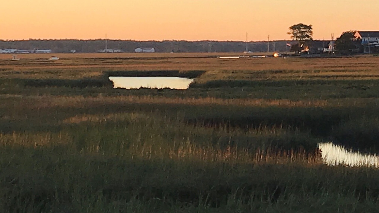 Photo of Others in Hampton