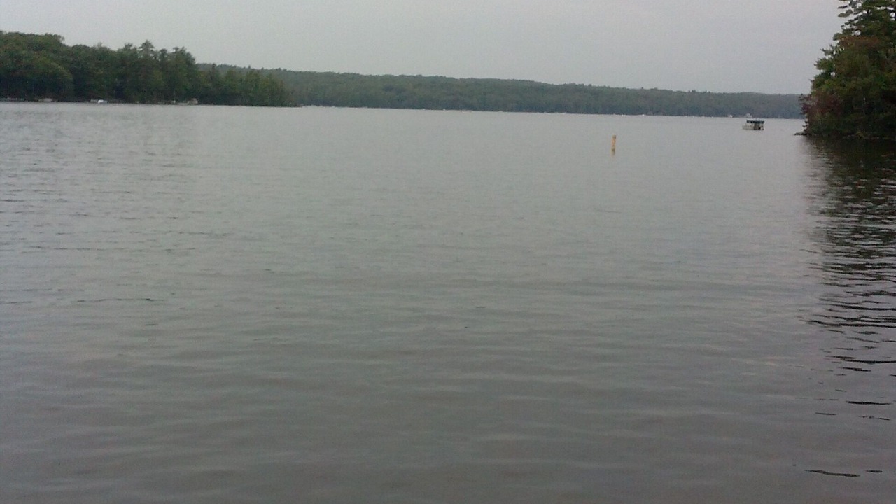 Photo of Others in Harrison