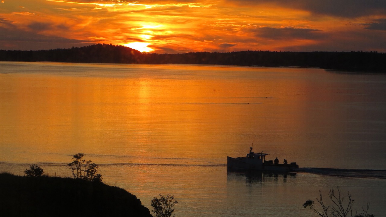 Photo of Others in Eastport