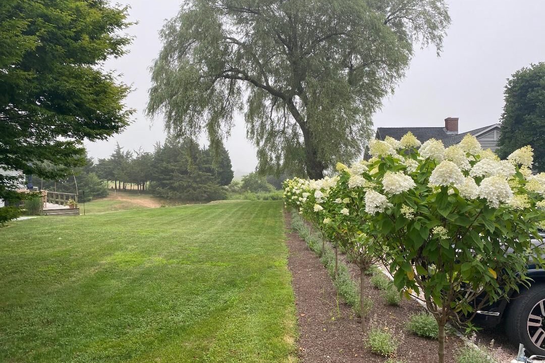 Photo of Outdoor in Charlestown
