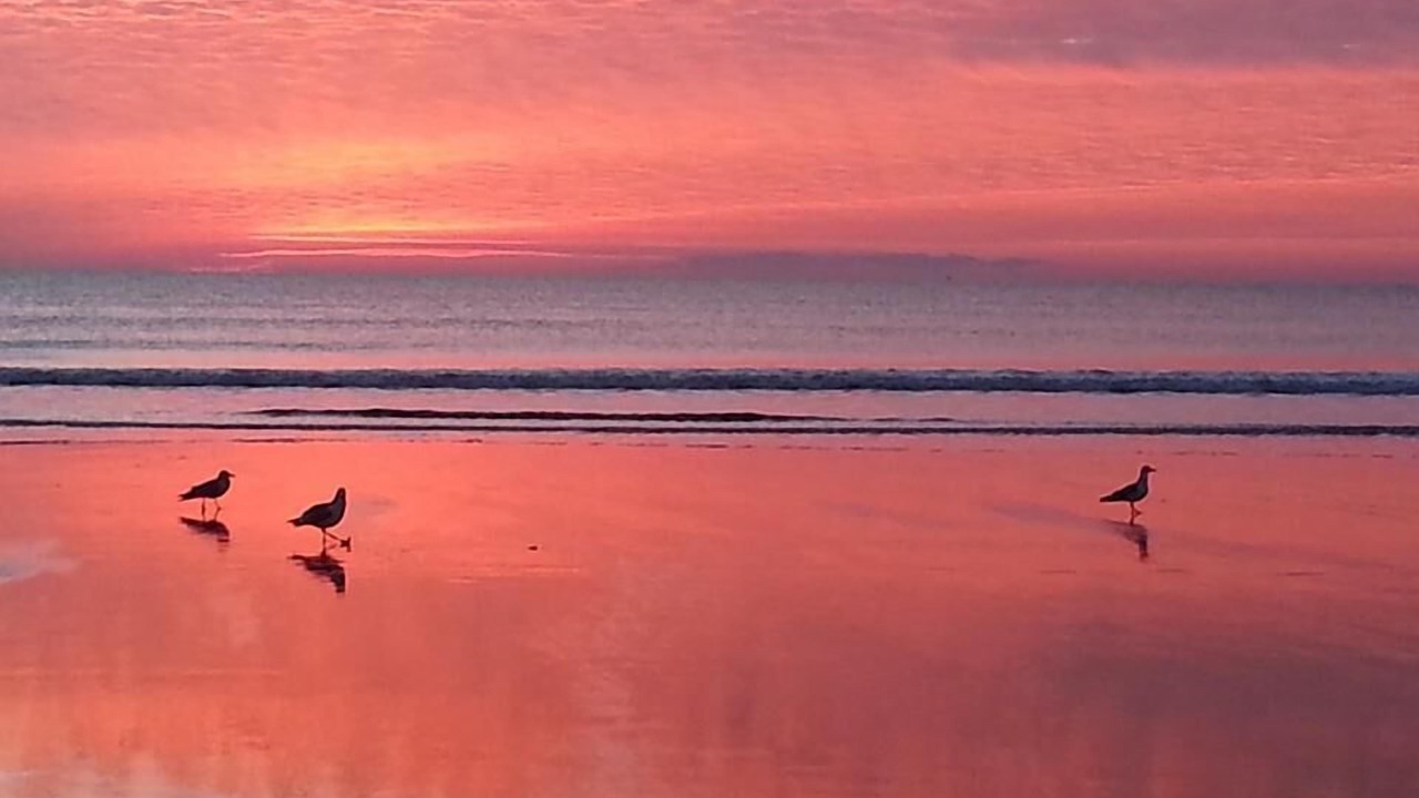 Photo of Others in Old Orchard Beach