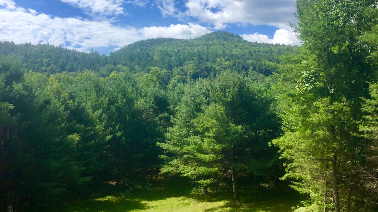 Photo of Outdoor in Woodstock